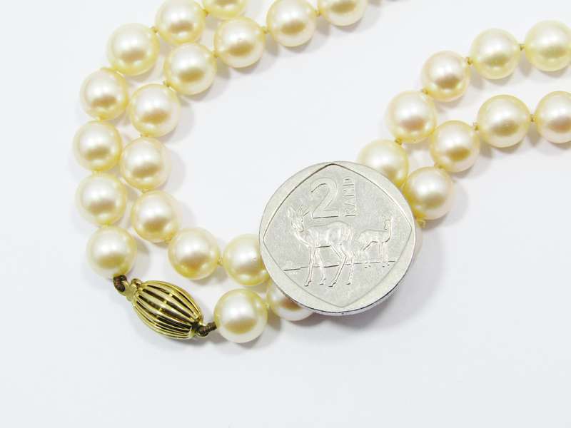 Exquisite! Vintage Pearl Necklace with Gold Clasp