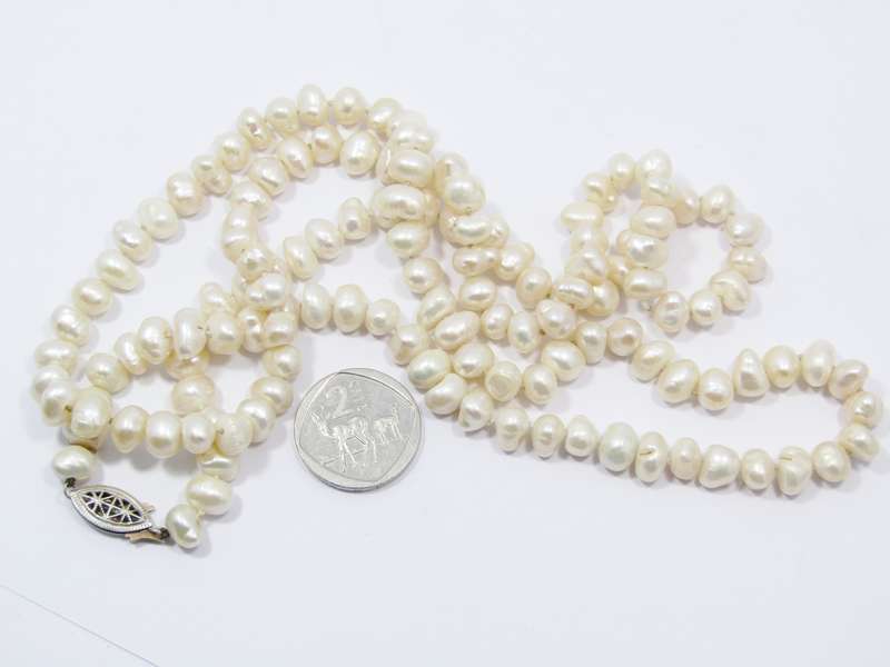 Lovely Long String of Freshwater Pearls with Silver Clasp