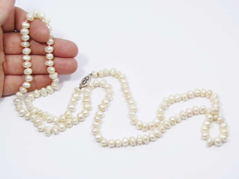 Lovely Long String of Freshwater Pearls with Silver Clasp