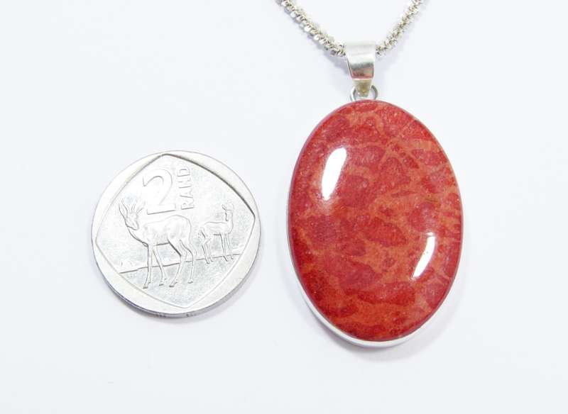 A Stunning Coral Pendant on Chain in Sterling Silve