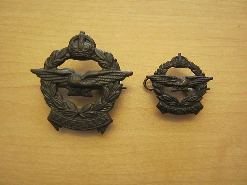 SAAF cap and collar badges.