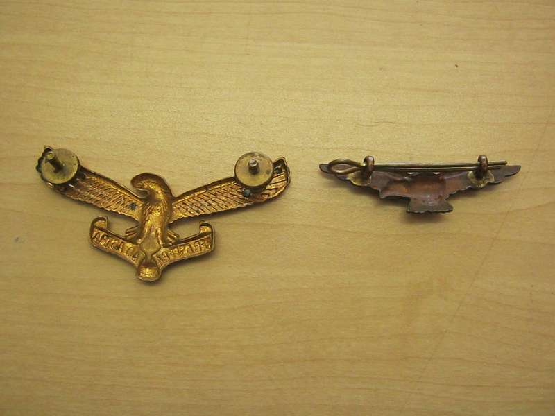 SAAF wings.