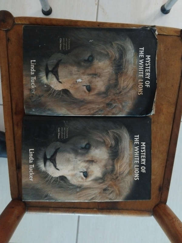 Mystery of the White Lions by Linda Tuck