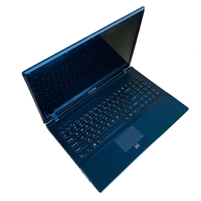Proline W351HU (Intel Core i5, 128GB SSD, 4GB RAM) 15.6 Inch Laptop