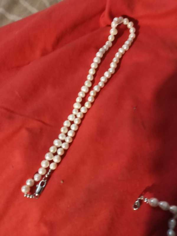 44cm string of pearls stainless Steel clasp,,beautiful..