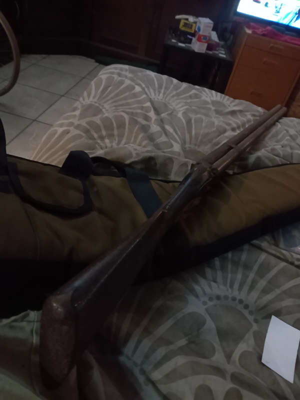 Shotgun flintlock double barrelled C G Harston @ co