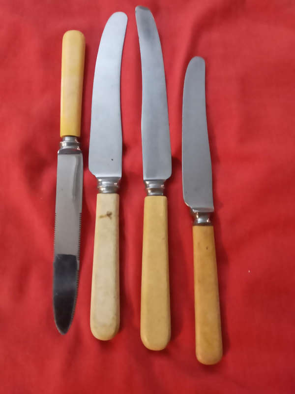 Bone handle knives x 4