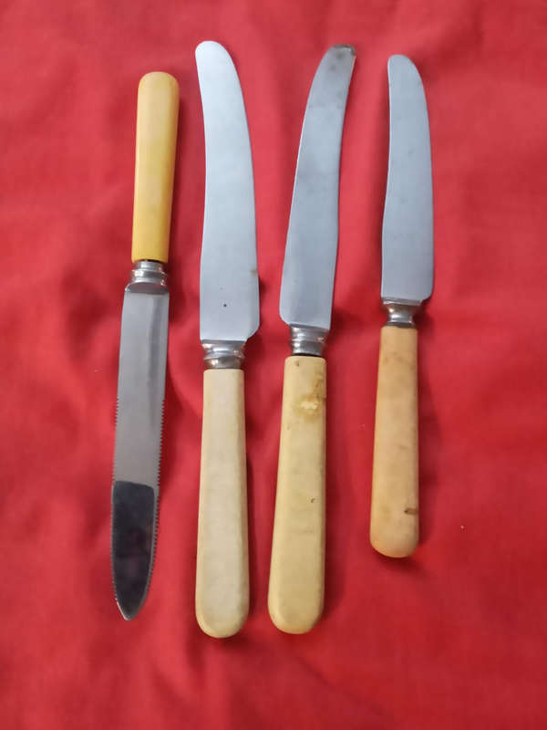 Bone handle knives x 4
