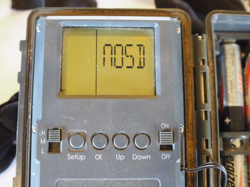 Ranger Trail cameras