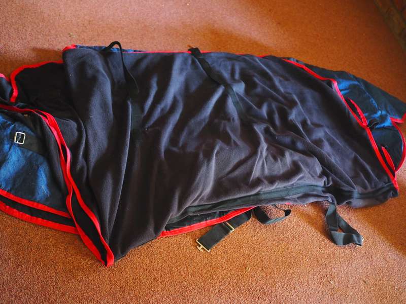 Horse blanket & helmets