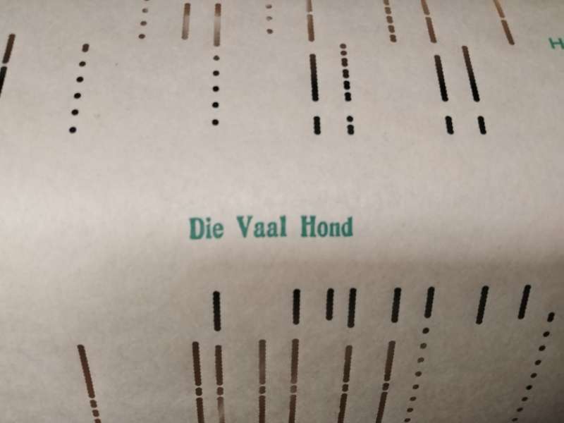 Rare Vintage Pianola Roll  A Unique Collection of Afrikaans Melodies