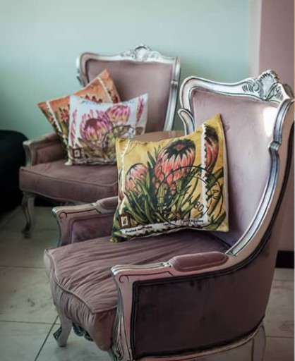 Postal Cushion Covers - Protea 15c