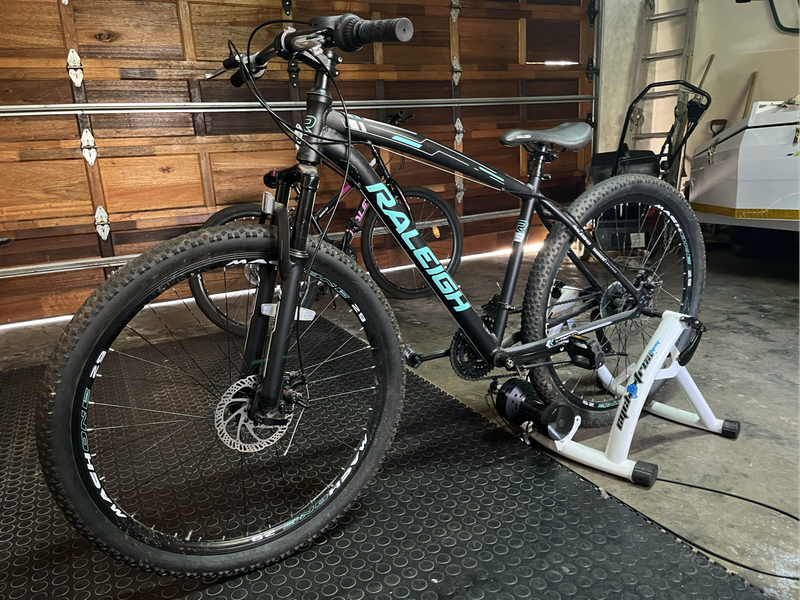 Raleigh bicycle 29