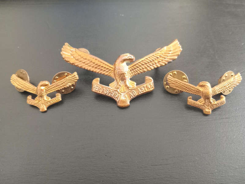 Airforce badges