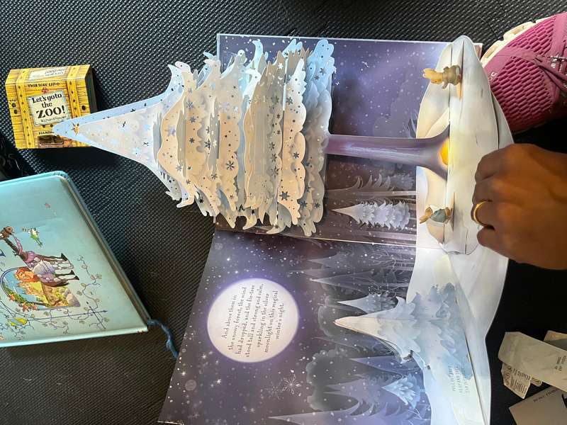 Pop up books bundle
