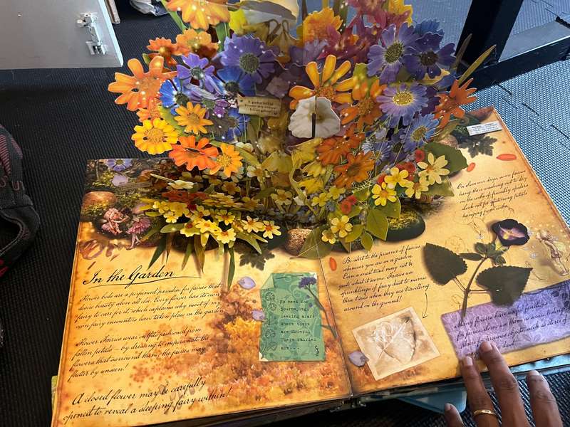 Pop up books bundle