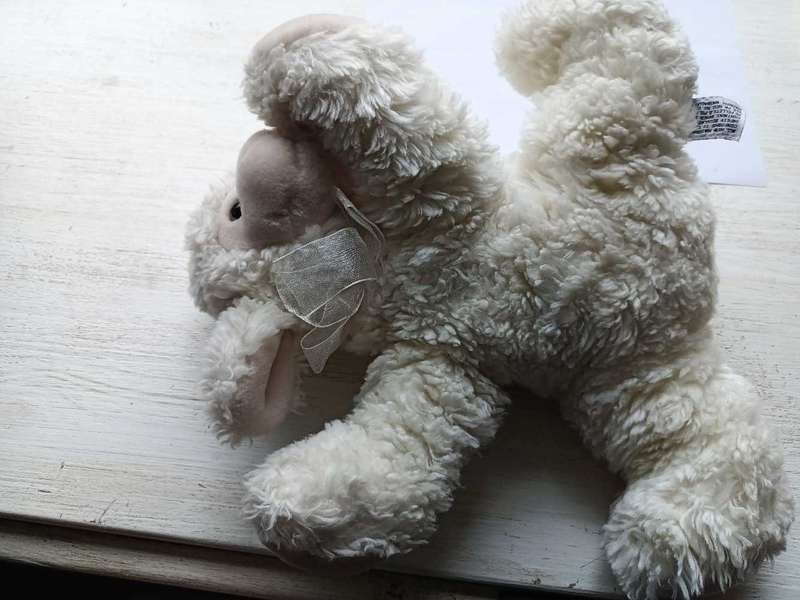 Fluffy sheep ,made by Harvest Moon