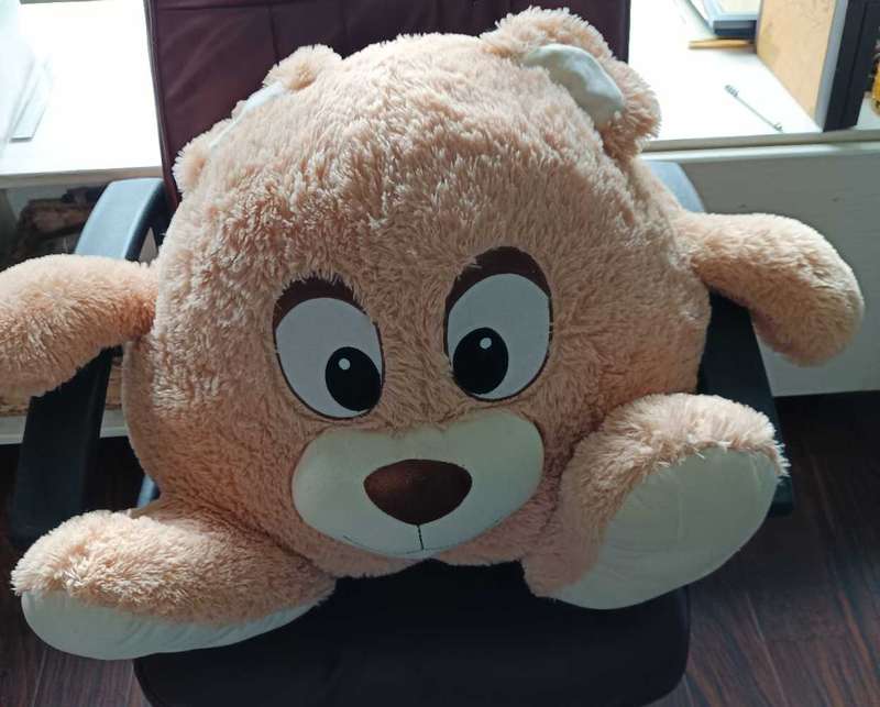 Teddy bear