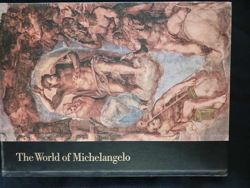 The World of Michelangelo