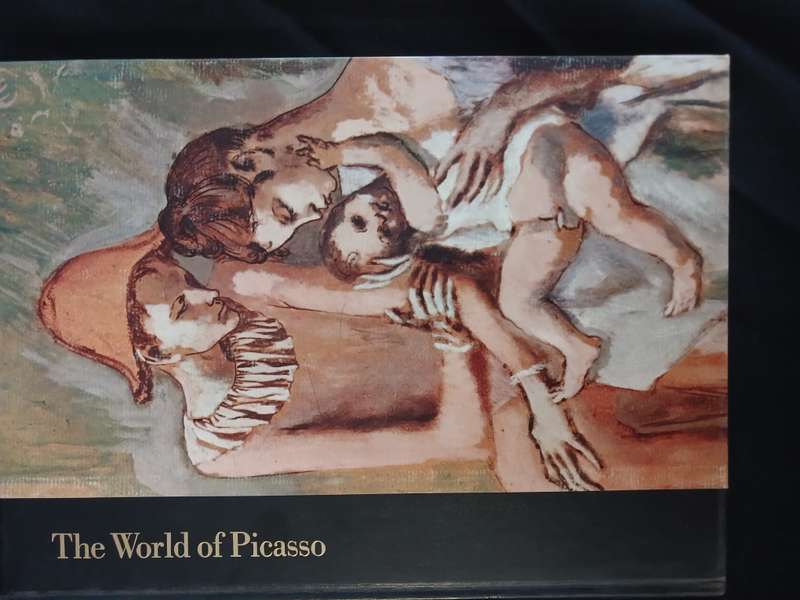 The world of Picasso