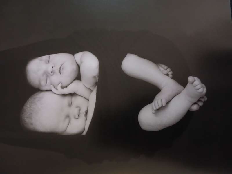 PureAnne Geddes