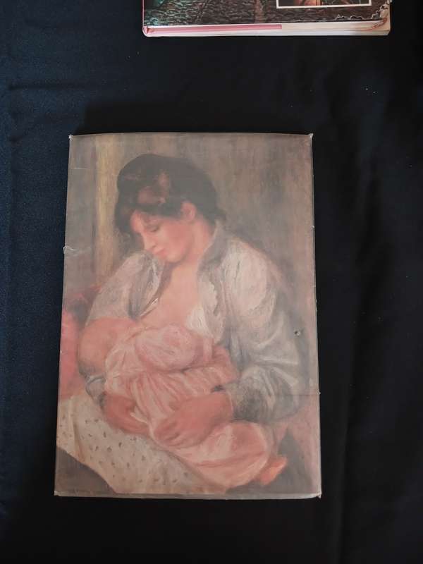 Everyone's Book of the Impressionists - Denis Thomas
