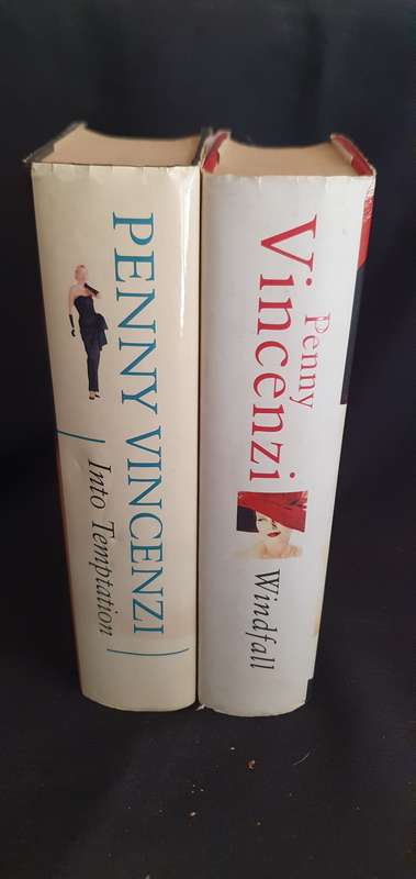 Into Temptation & Windfall  - Penny Vincenzi