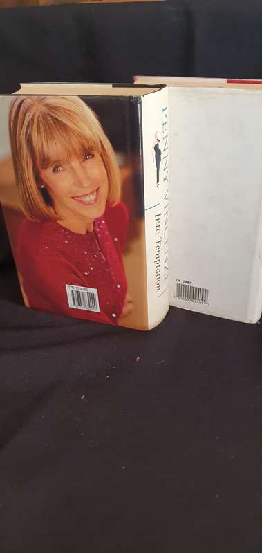 Into Temptation & Windfall  - Penny Vincenzi