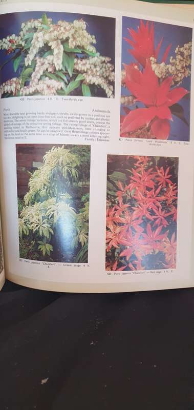 Know your Trees and Shrubs - Richmond E Harrison & Charles R Harrison