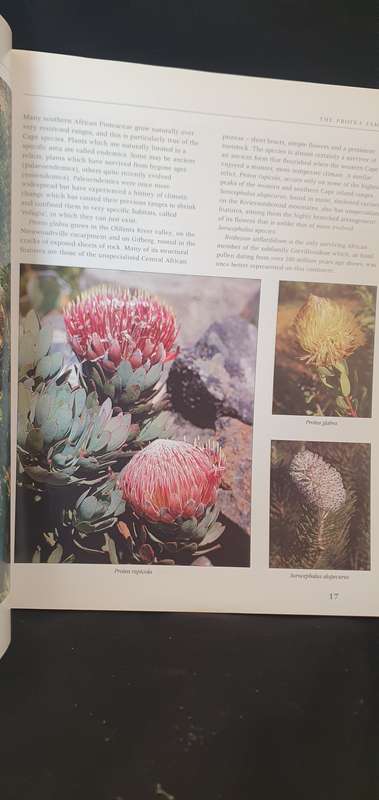 The Protea family in Southern Africa - Colin Paterson-Jones