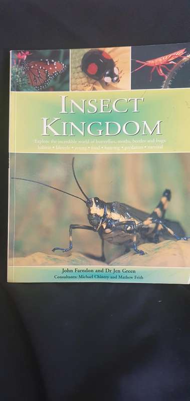 Insect Kingdom - John Farndon & Dr Jen Green