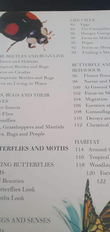 Insect Kingdom - John Farndon & Dr Jen Green