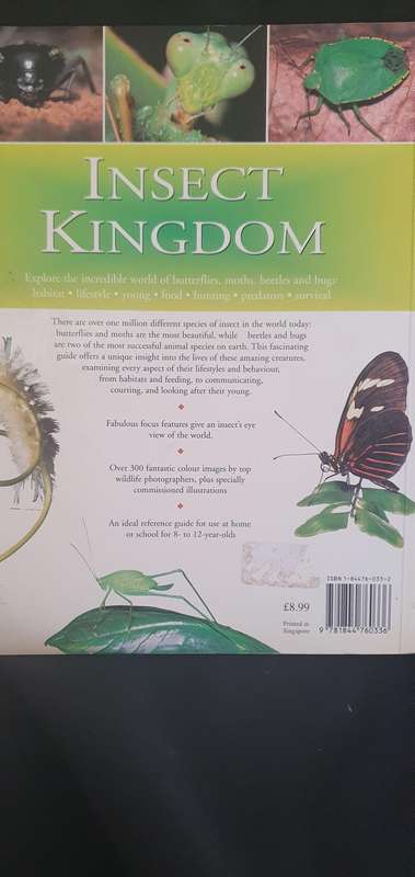 Insect Kingdom - John Farndon & Dr Jen Green