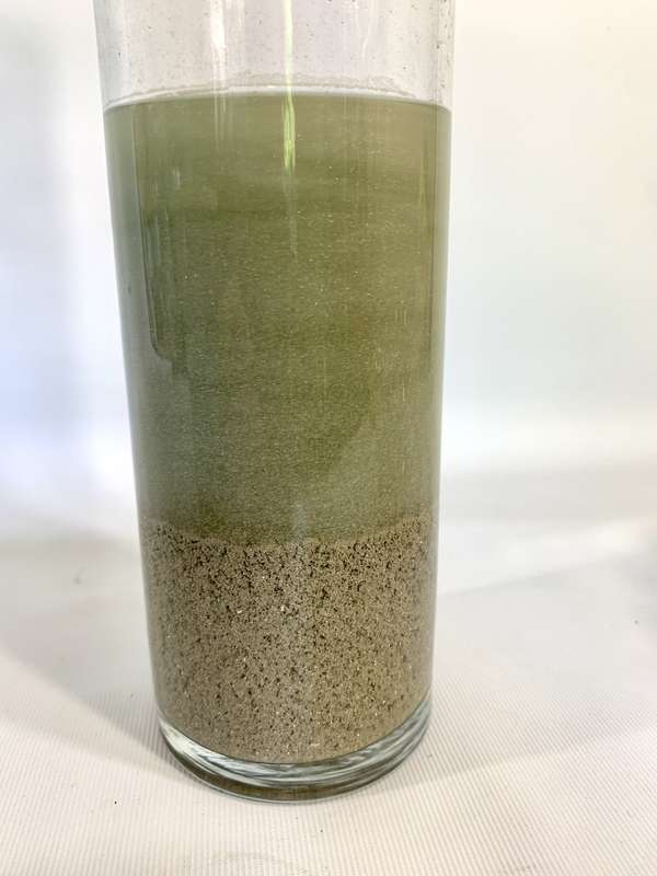 Chemically Refined Silver (Ag) 99% Purity (39.5 grams)