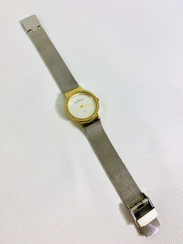 Stunning Skagen Ladies Wristwatch