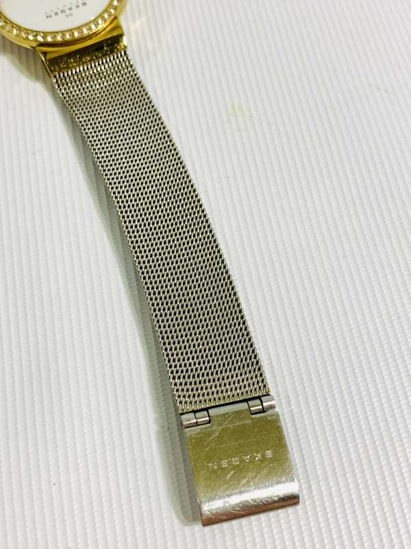 Stunning Skagen Ladies Wristwatch