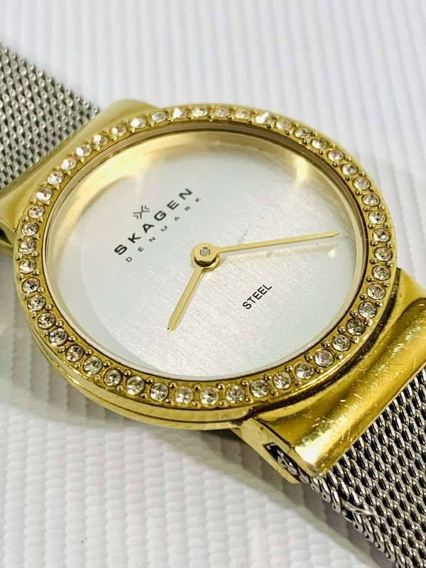 Stunning Skagen Ladies Wristwatch