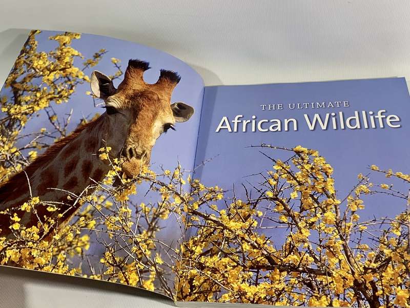 The Ultimate African Wildlife - Nigel Dennis