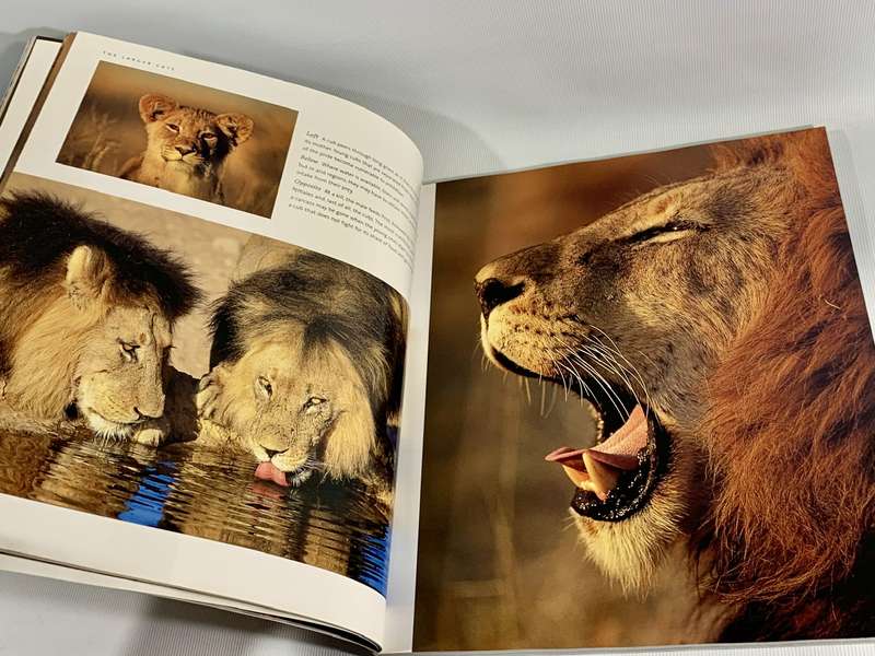 The Ultimate African Wildlife - Nigel Dennis