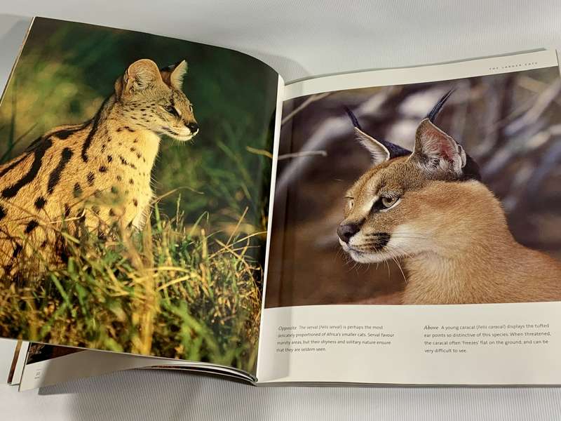 The Ultimate African Wildlife - Nigel Dennis