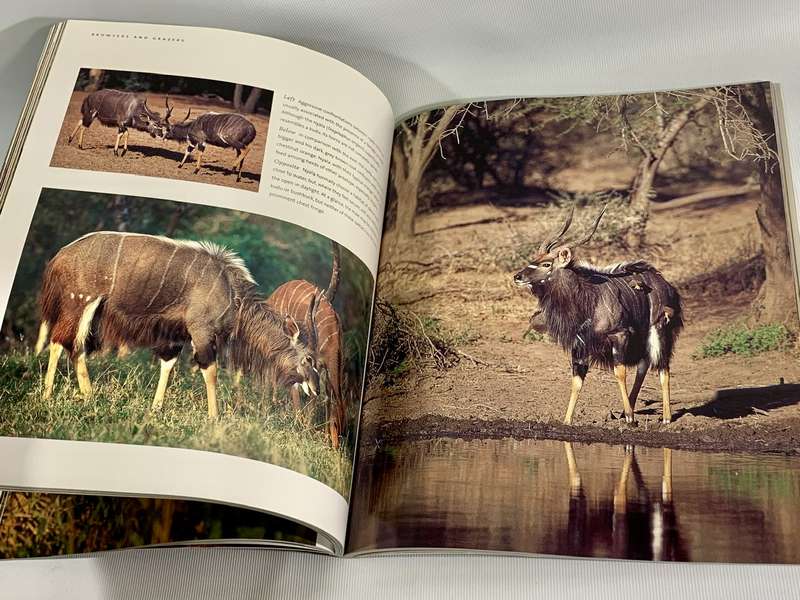The Ultimate African Wildlife - Nigel Dennis