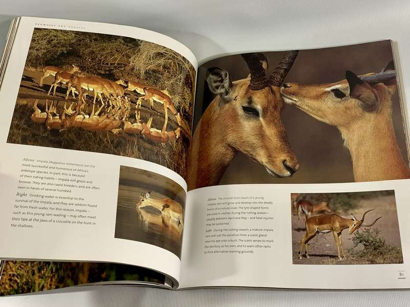 The Ultimate African Wildlife - Nigel Dennis
