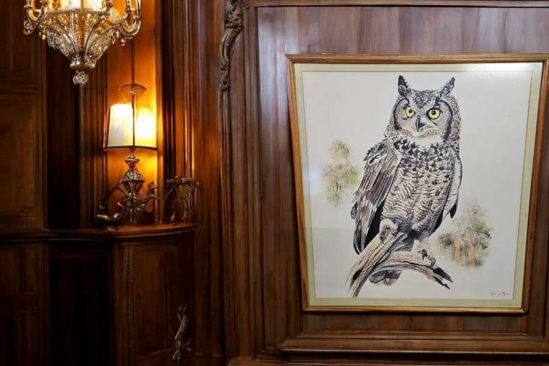 Owl Print by Chris van Rooyen