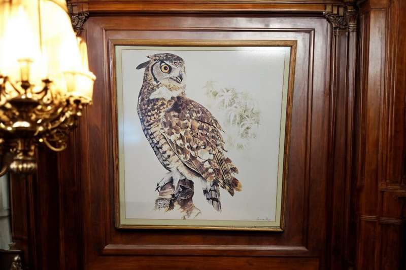 Owl Print by Chris van Rooyen