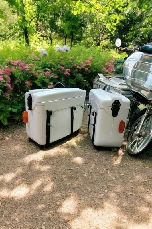 Vintage pair Bike Tique hard bags