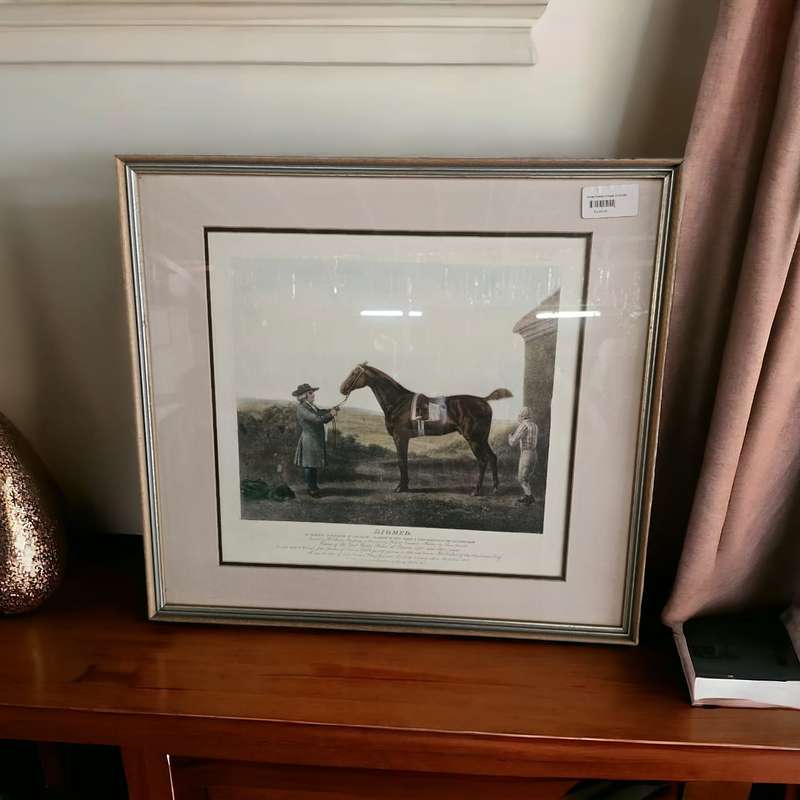 DIOMED Vintage Framed Horse Picture
