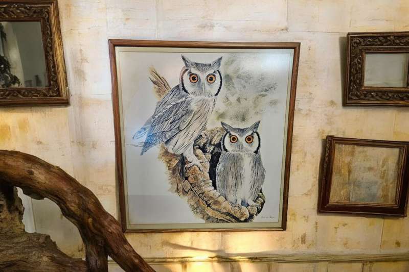 Owl Print by Chris van Rooyen
