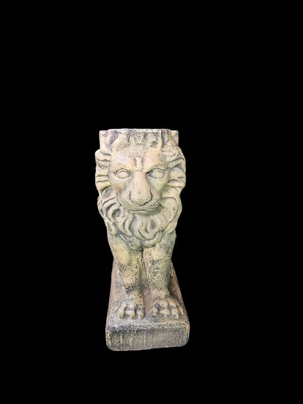 Pair of concrete garden lion decor measuring 43x36x20cm