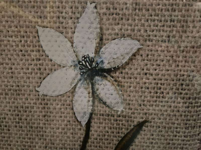 Framed Painted Flower on Fabric Print behind glass