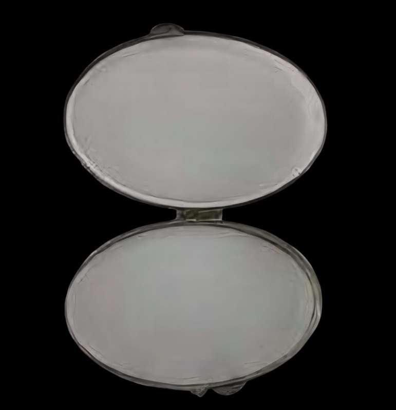 Antique silver plate oval-shaped vesta case